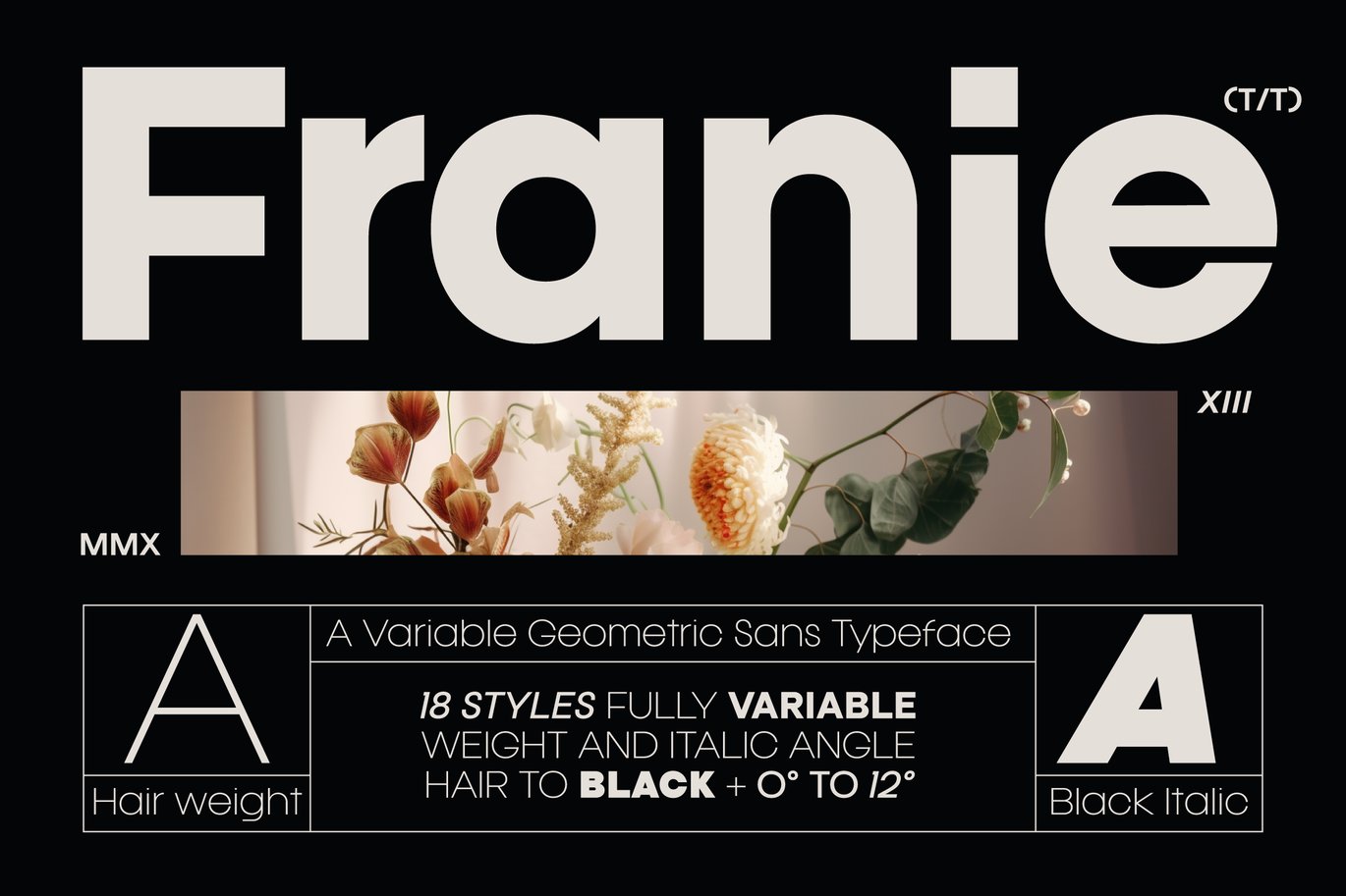 Franie Geometric Sans Font Sample