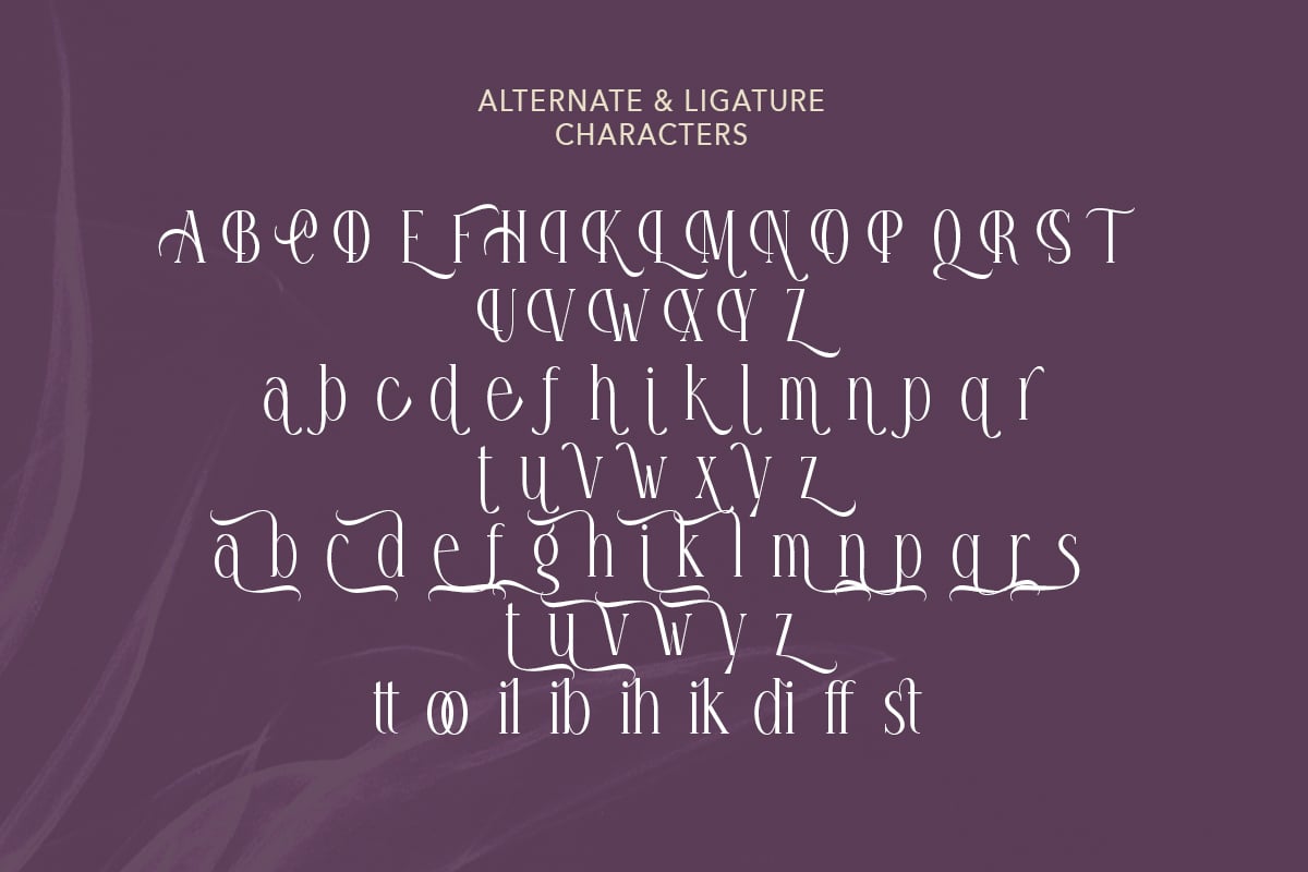 Honey Promise - Stylish Tall Serif Font Sample