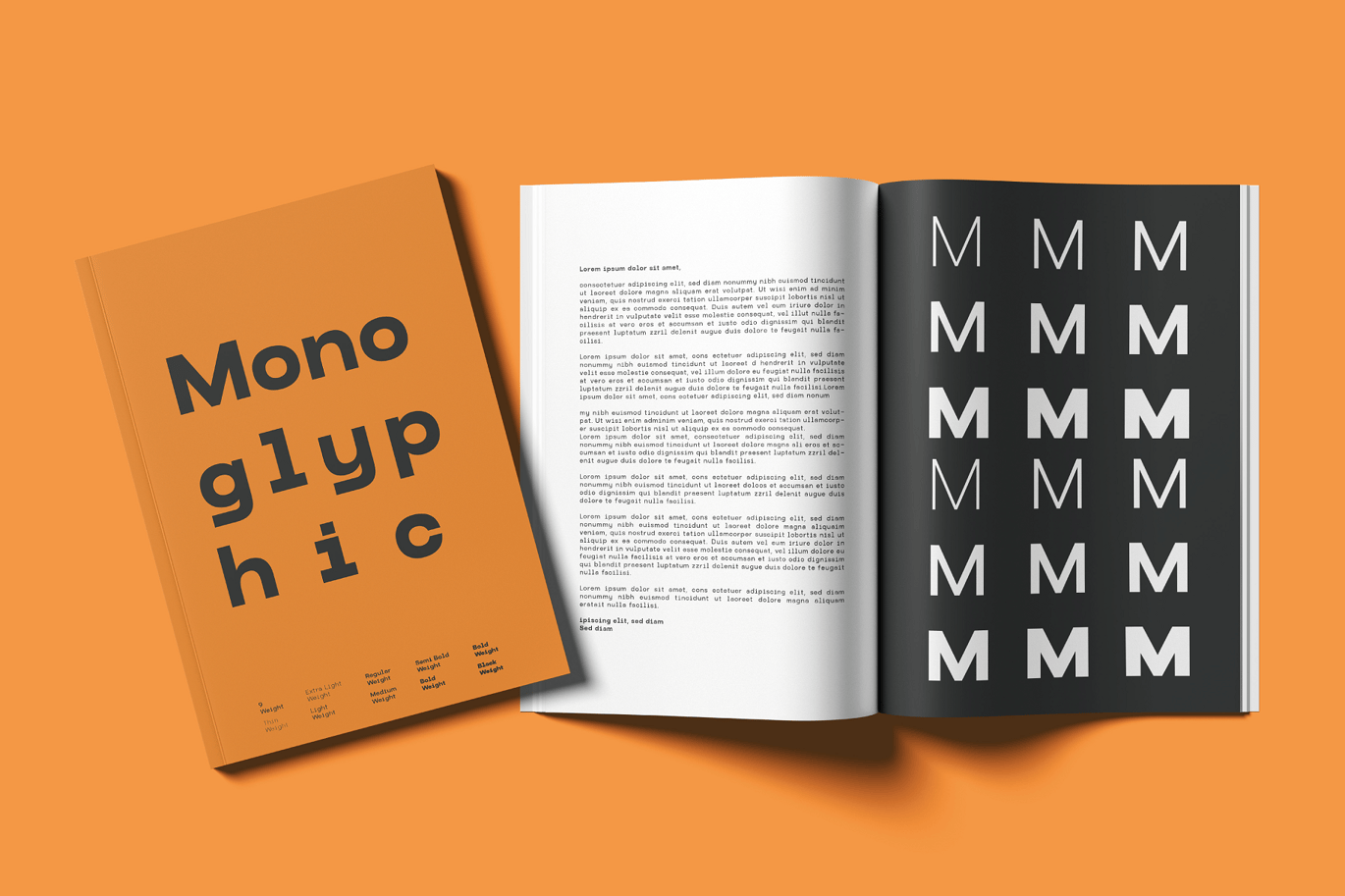 Monoglyphic - Clean Monospace Typeface Font Sample