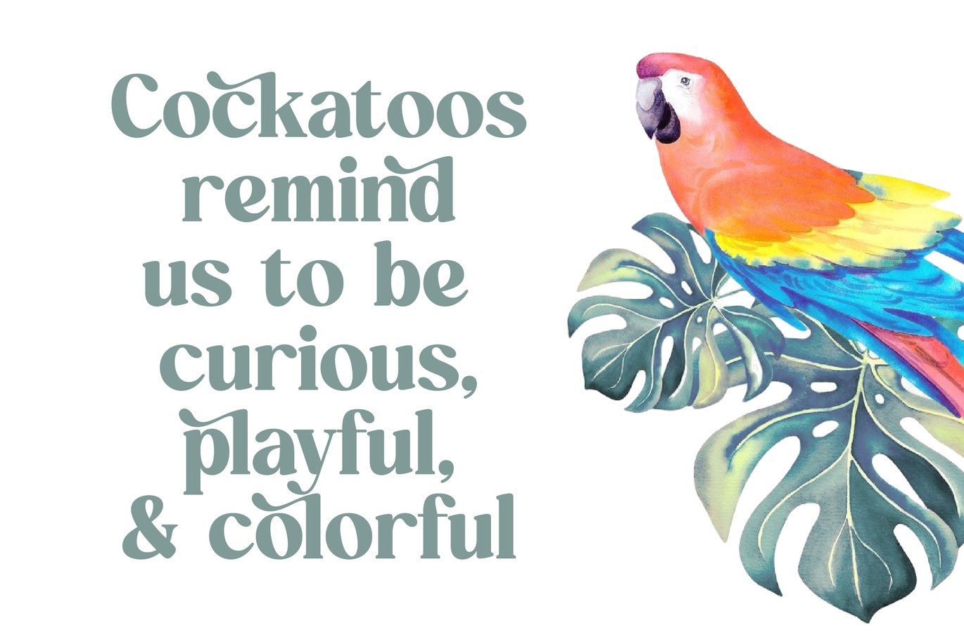 Quick Beach - Modern Retro Serif Font Character Map