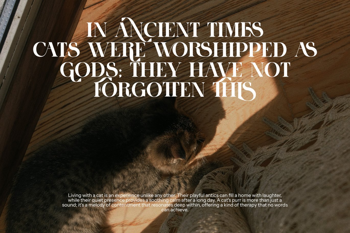 Rimes Elegant Serif Font Sample