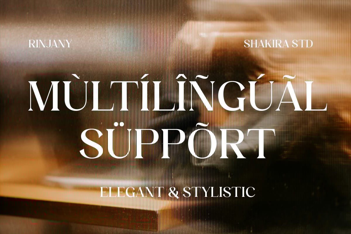 Rintik - Modern Elegant Stylistic Logo Serif Font Character Map