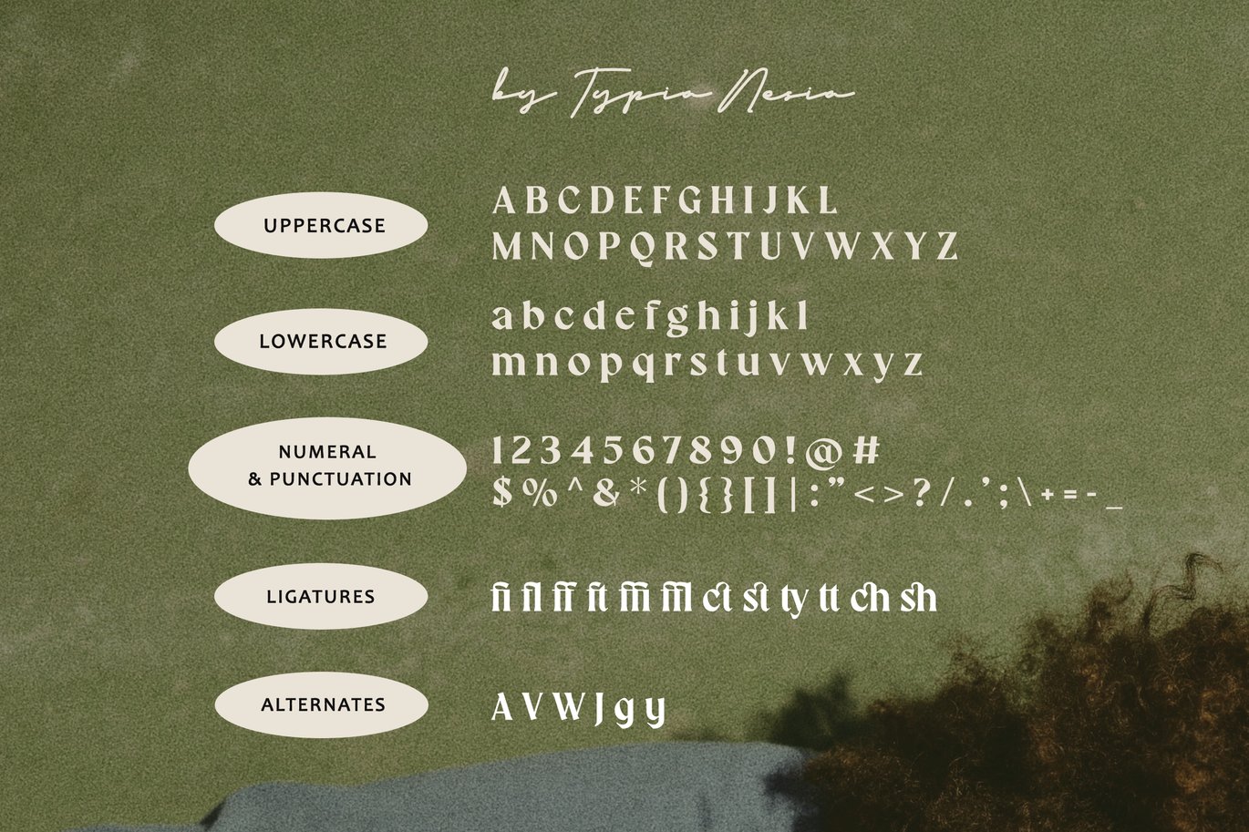 Salty Ages - Classic Bold Retro Vibe Serif Font Sample
