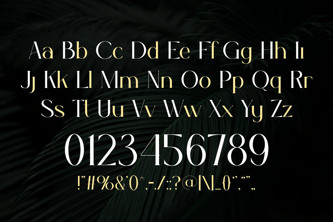 Selina - Modern Elegance Font Sample