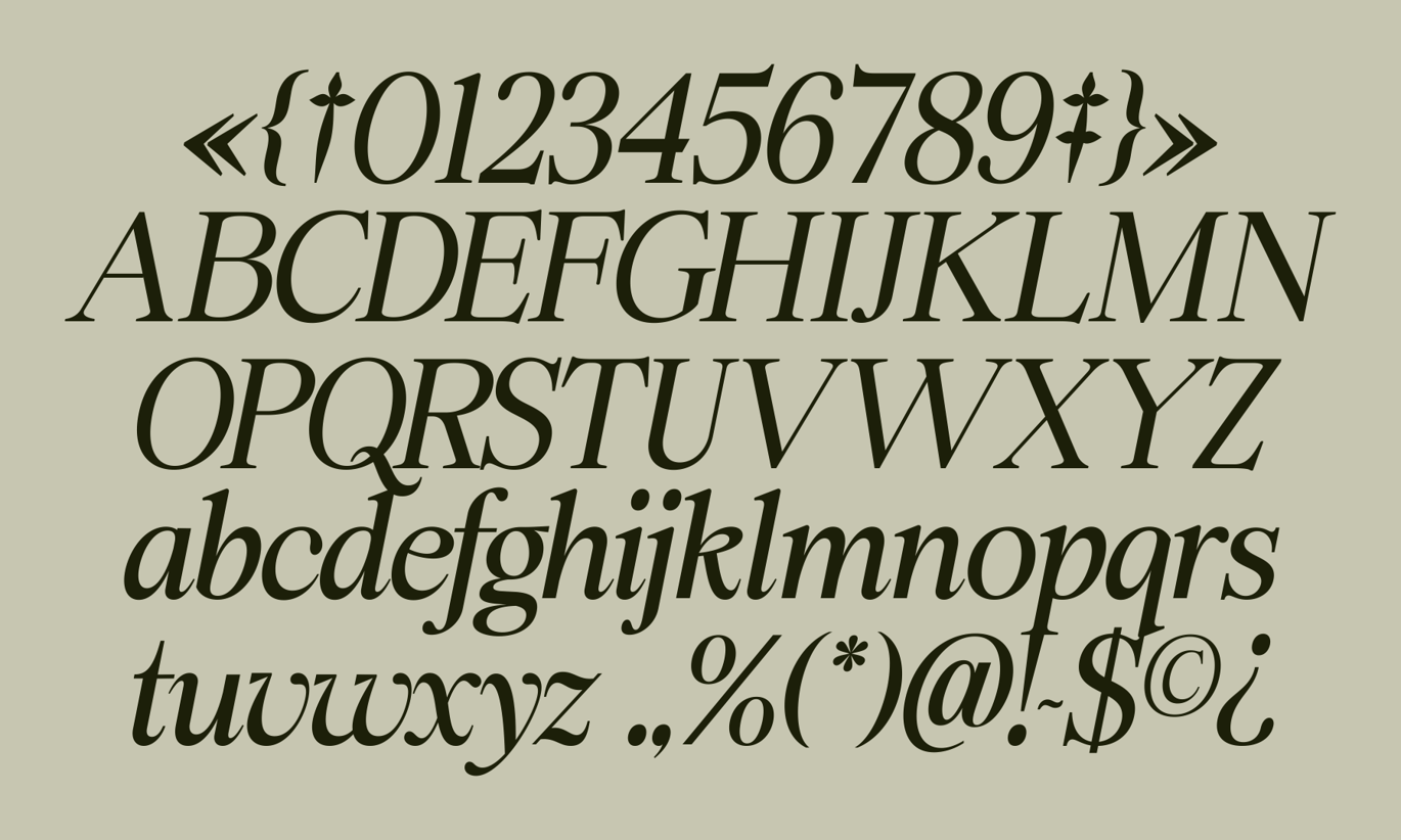 Swarsh Daisy - Elegant Serif Display Font Sample