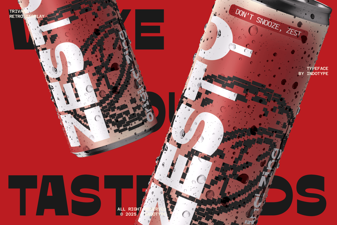 Trivane - Bold Retro Reverse Contrast Font Sample