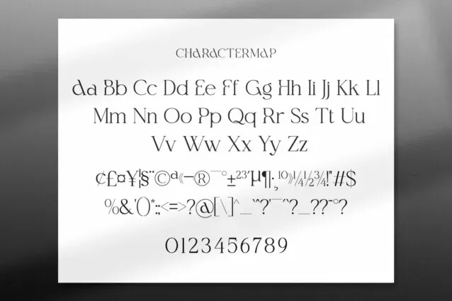 Camelia Serif Font