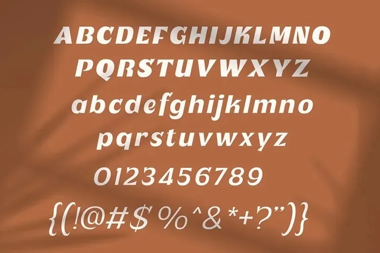 Plenary Font Family