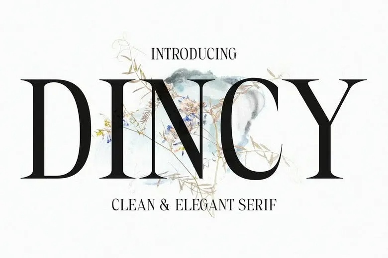 Dincy Font