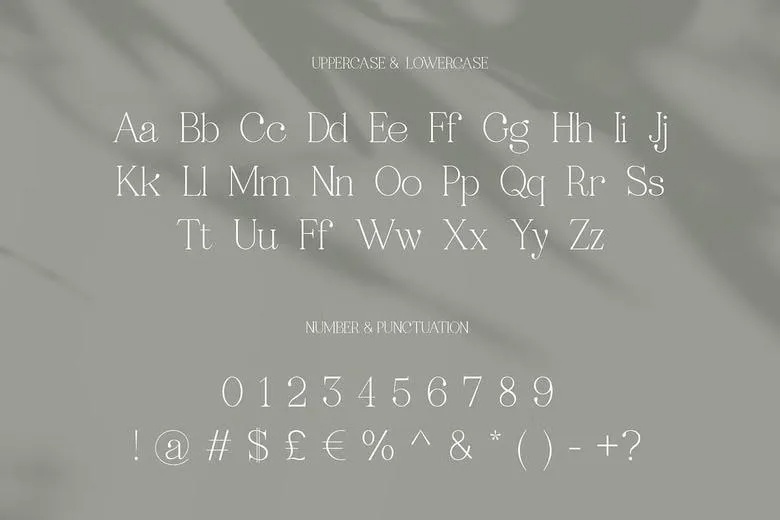 Ragille Font