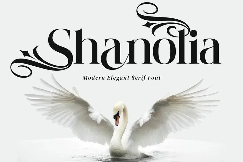 Shanolia Font
