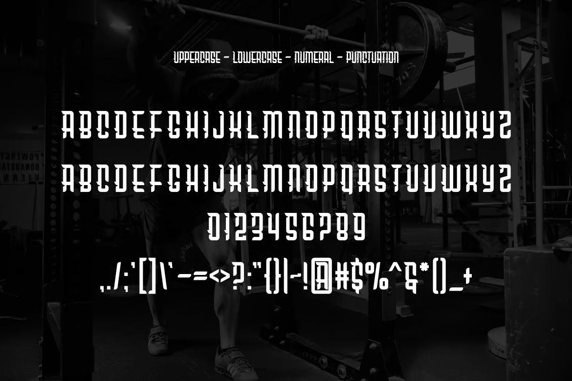 Agregad Modern Display Font