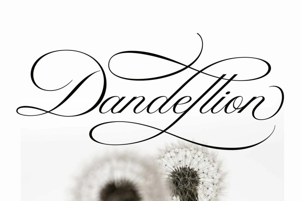 Dandellion
