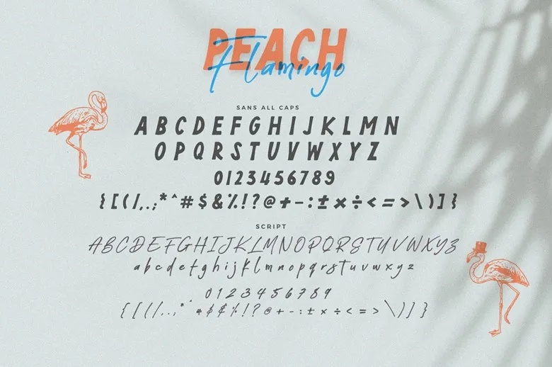 Peach Flamingo Font Duo