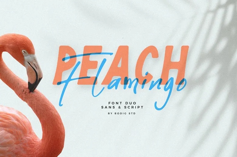 Peach Flamingo Font Duo