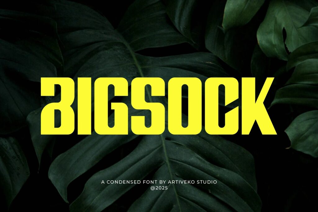 Bigsock Condensed Display Font