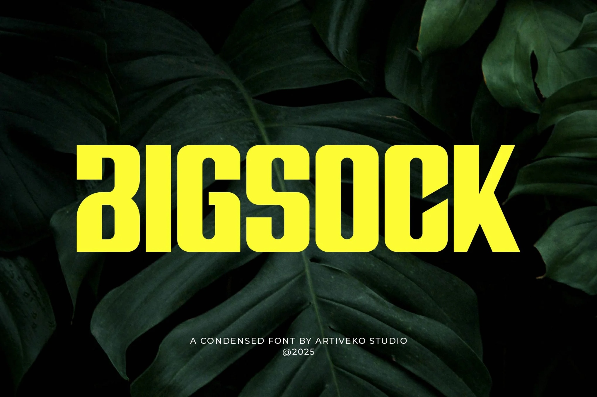 Bigsock Condensed Display Font