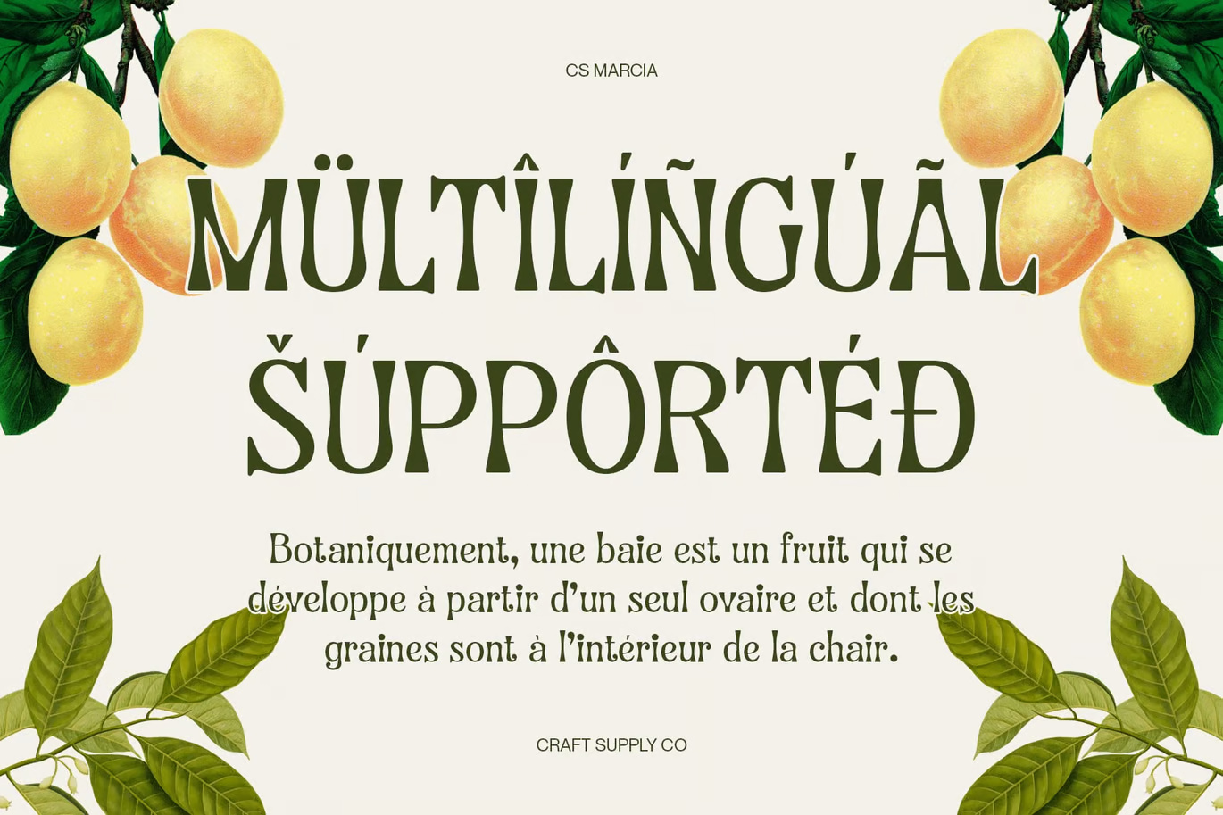 Marcia – Aesthetic Font