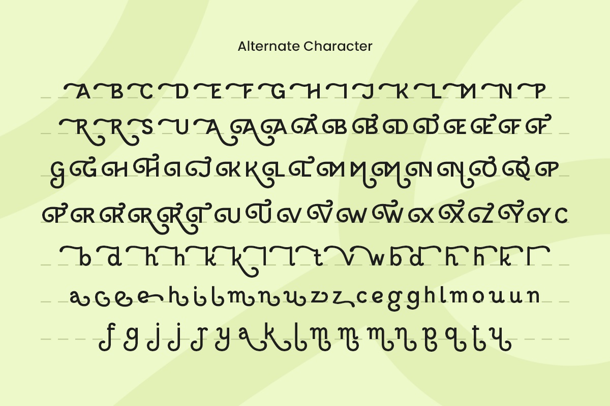 Fandy Creative Swash Fancy