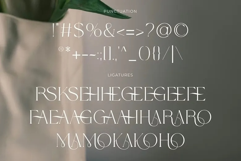 Wolmer Font