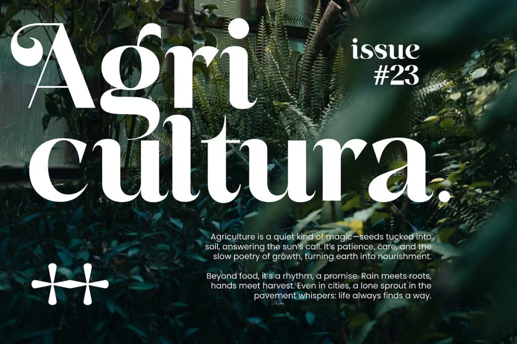 Basken Font