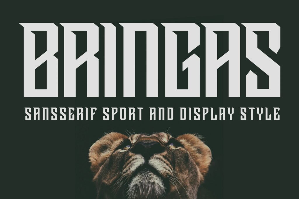 Bringas Sport Display Font