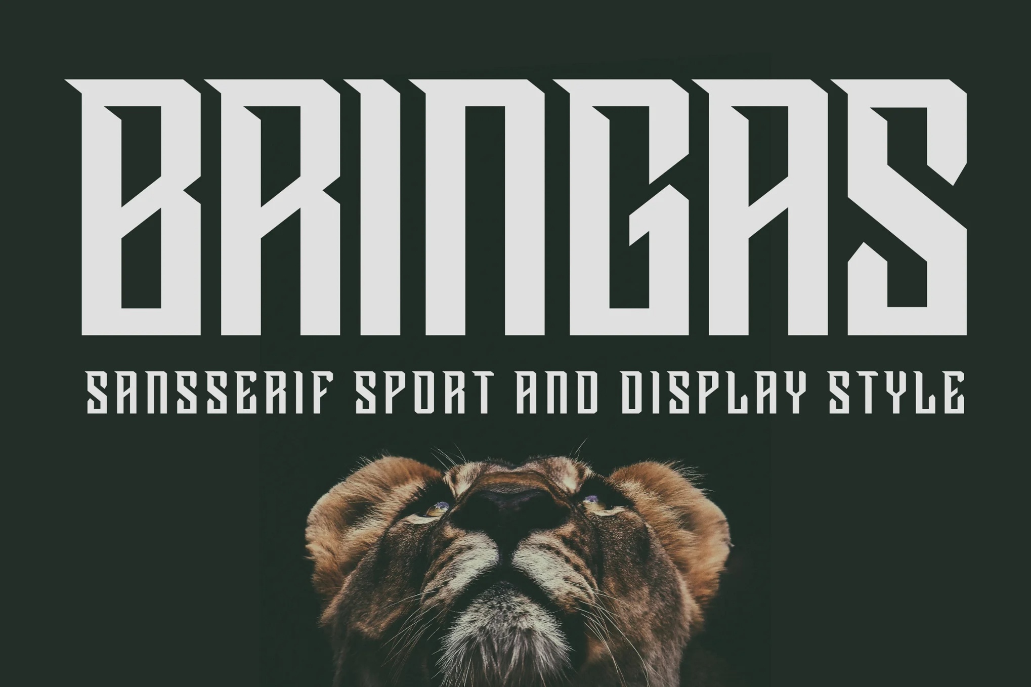Bringas Sport Display Font