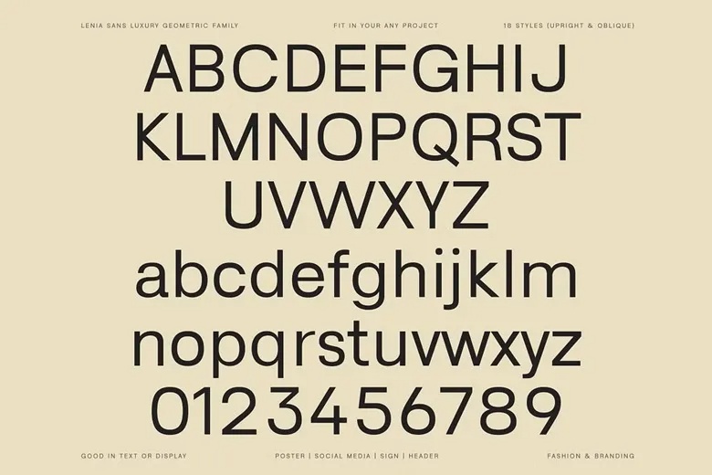 Lenia Sans Serif Font