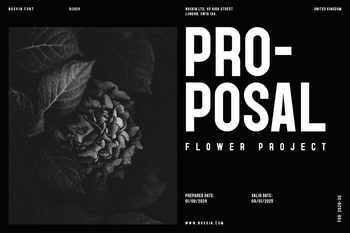 Noskin Bold Font
