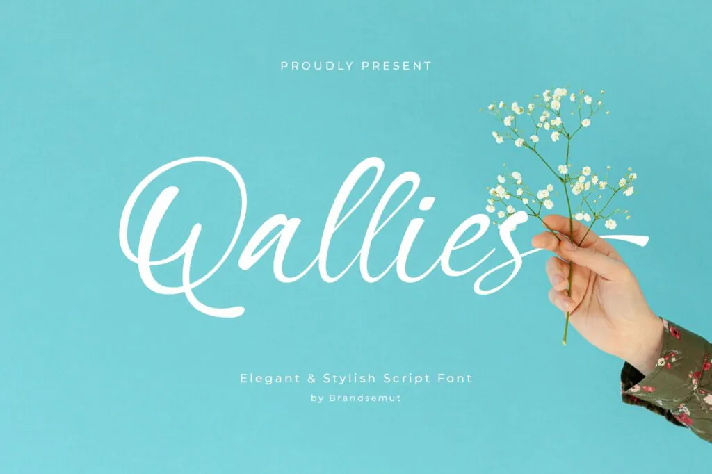 Qallies Elegant Handwritten Font