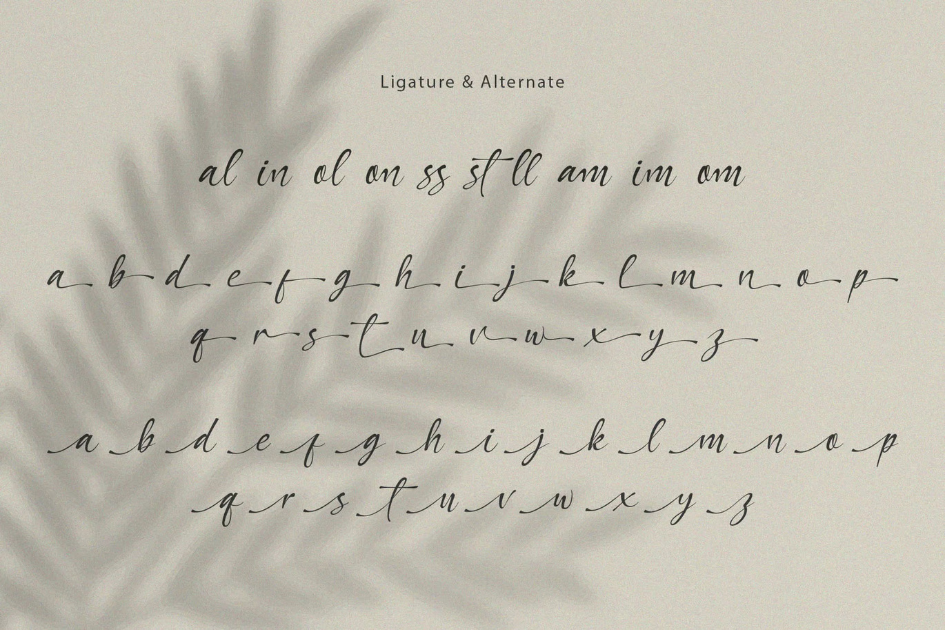 Qallies Elegant Handwritten Font