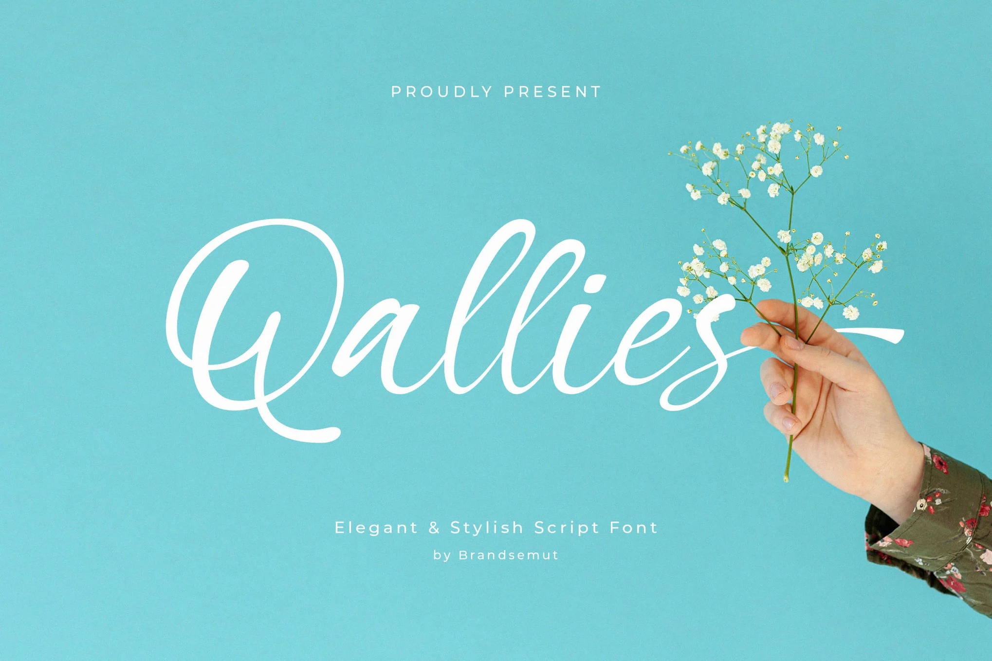 Qallies Elegant Handwritten Font