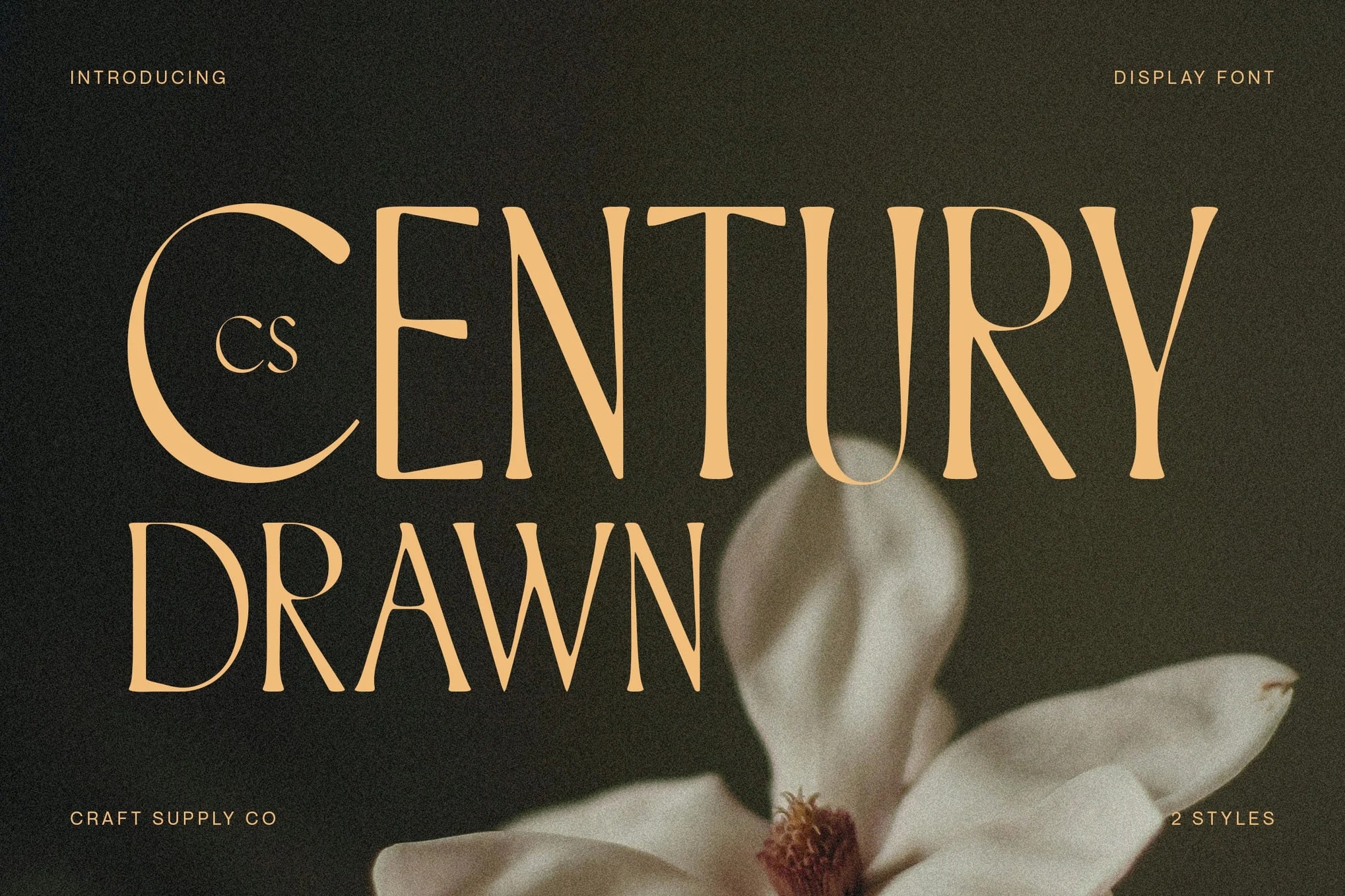 Century Drawn