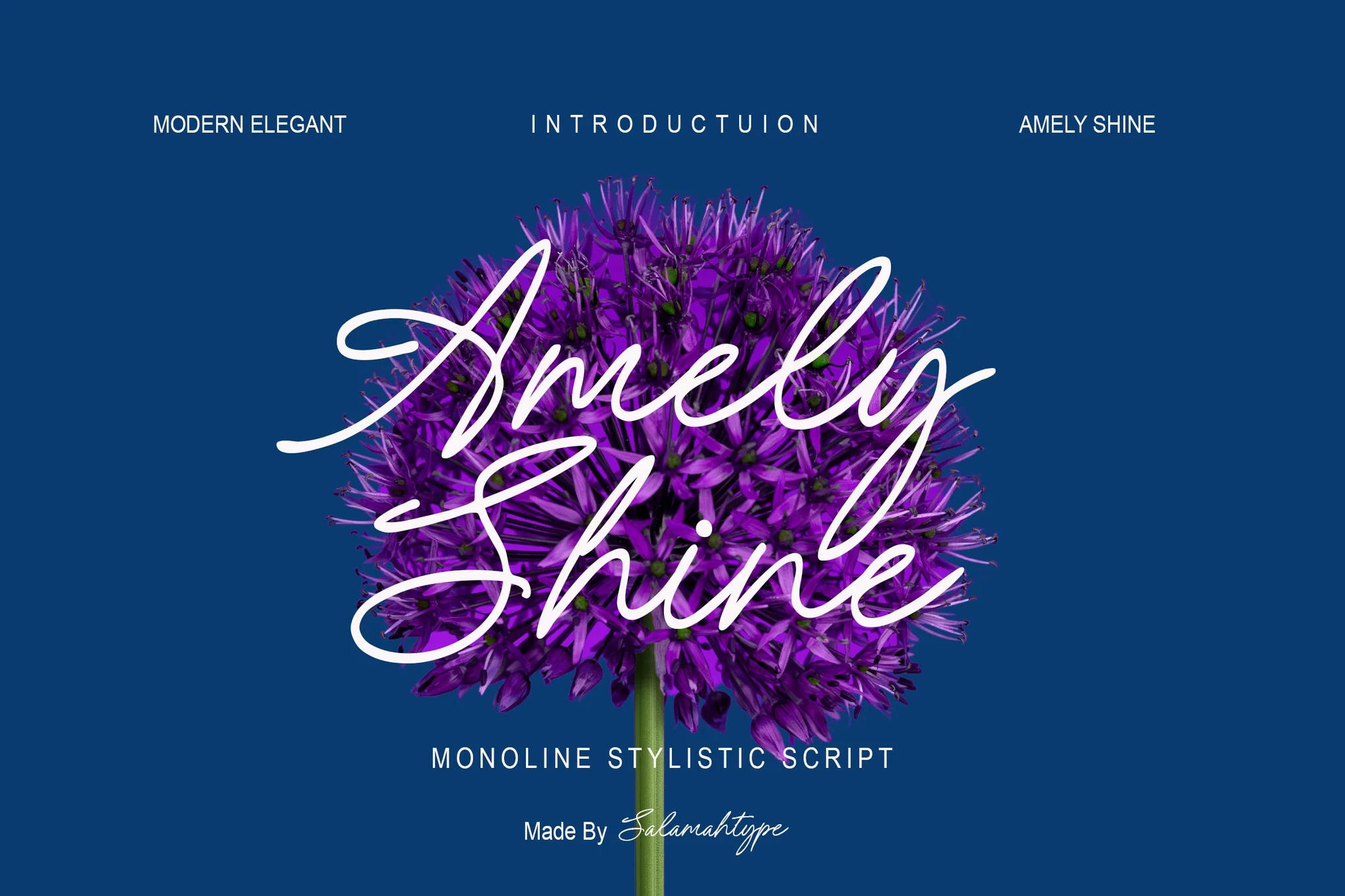 Amely Shine Font